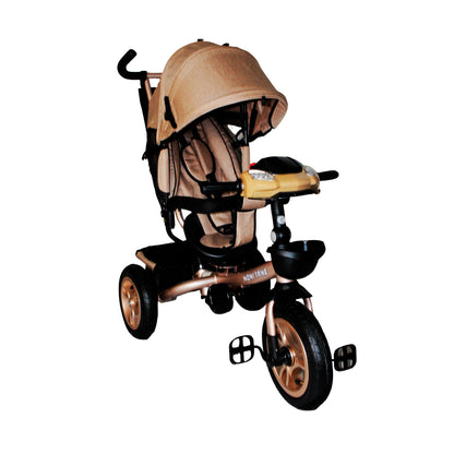 Triciclo Multifuncional IS-3041 H