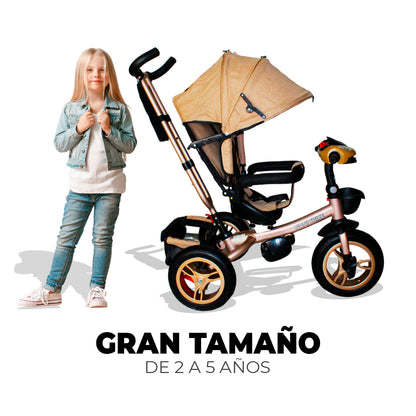 Triciclo Multifuncional IS-3041 H